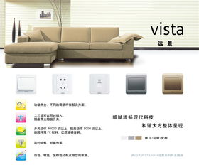 遠景金棕四位雙控大蹺板開關(guān) 無熒光指示 特價36.23元包郵